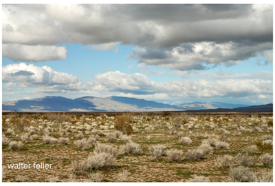 Fremont Valley (Garlock Fault)