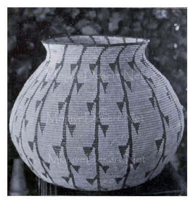 Chemehuevi basket with tree and leaf design