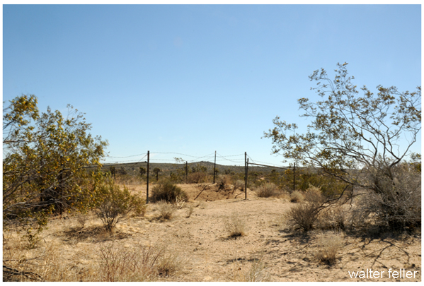 mine shaft in Coolgardie minin district