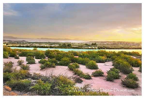 sunrise on Colorado River in the Mohave Valley