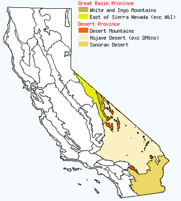 desert holly range map