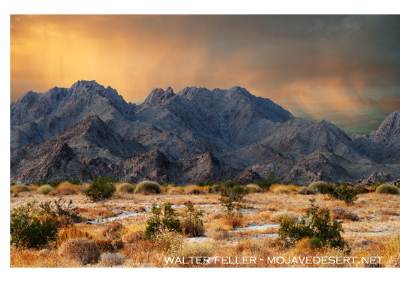 Coxcomb Mountain, Colorado Desert
