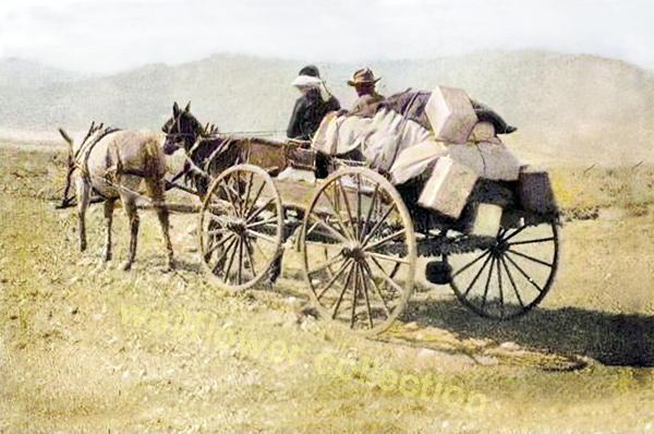 The Outfit - White Heart of Mojave